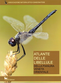 Atlante-delle-libellule-della-pianura-veneto-orientale-michele-zanetti-ans