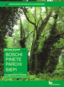 Boschi-pinete-parchi-siepi-michele-zanetti-ans