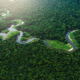 incendio in amazzonia - a cura di Michele Zanetti