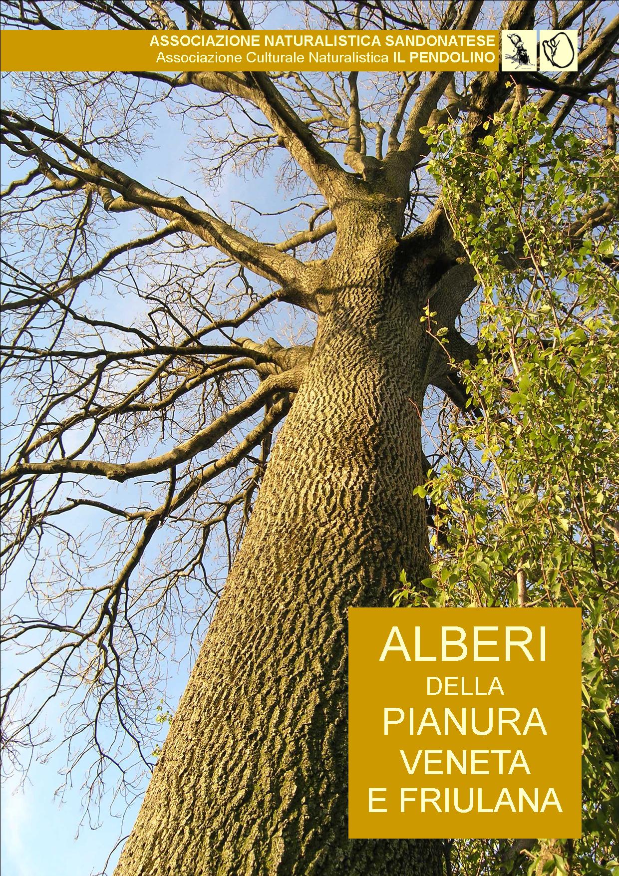 Alberi_della_pianura_veneto_friulana