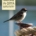Natura-in-citta-copertina