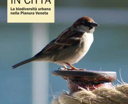 Natura-in-citta-copertina