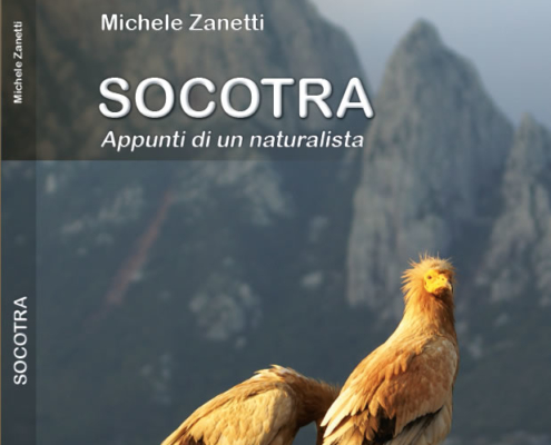 SOCOTRA-a-cura-di-michele-zanetti