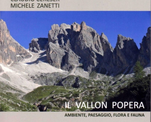 VALLON-POPERA-libro